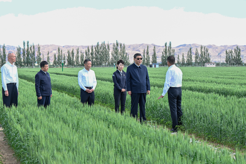 习近平在内蒙古巴彦淖尔考察并主持召开加强荒漠化综合防治和推进“三北”等重点生态工程建设座谈会