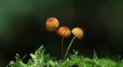 真正的智慧，是做到这三件事