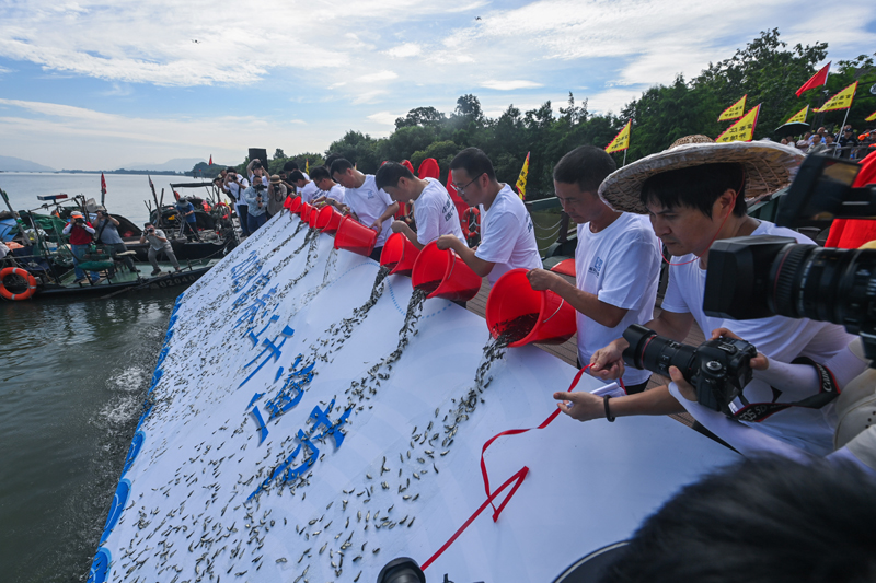 杭州富春江开渔 渔民喜迎江鲜丰收