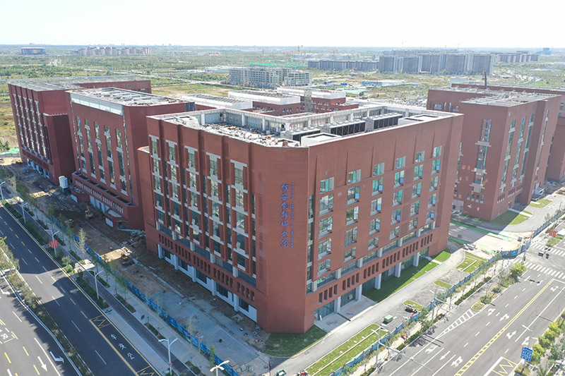 雄安新区：启动区重点工程芳容初绽