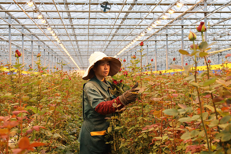 兰州新区：快速发展谱新篇