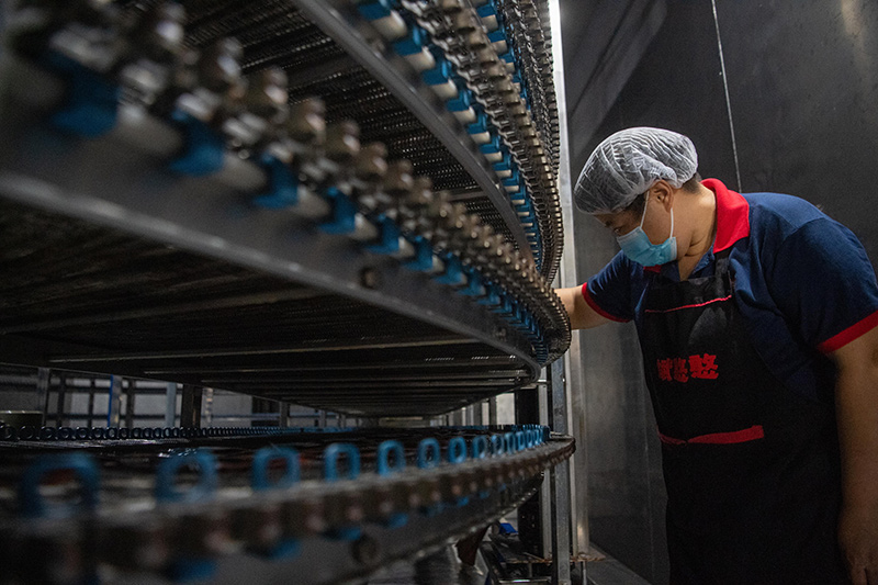 高质量发展转型为中国西部齿轮城注入新活力