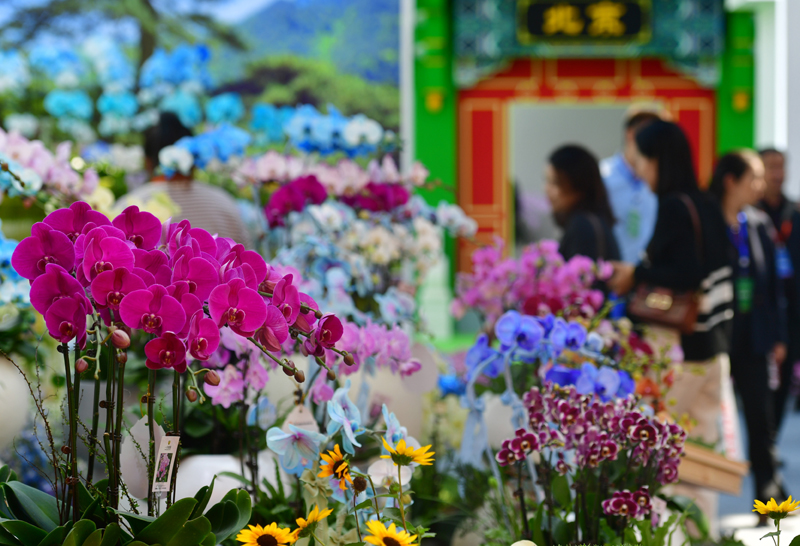2023中国合肥苗木花卉交易大会开幕