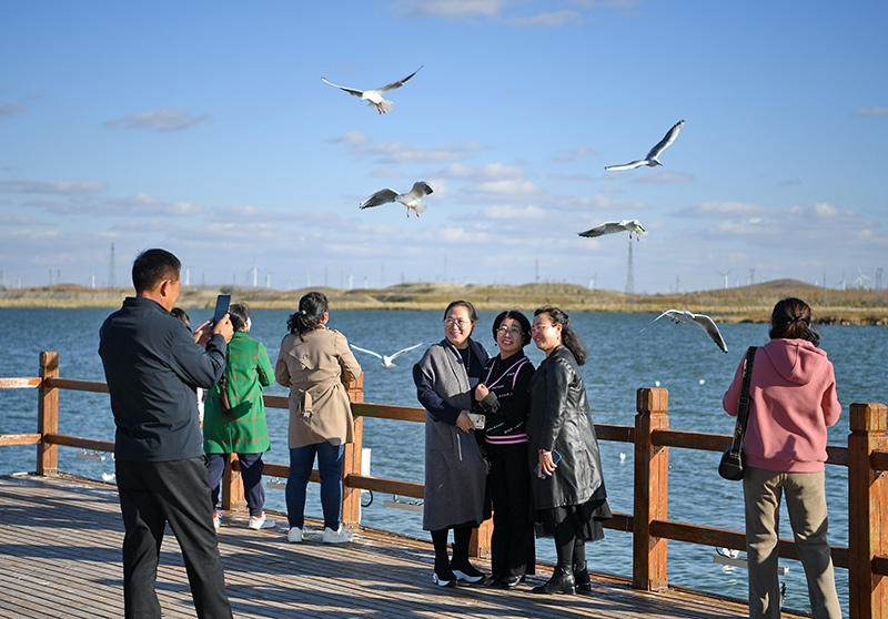 河北康保：湿地生态保护修复见成效