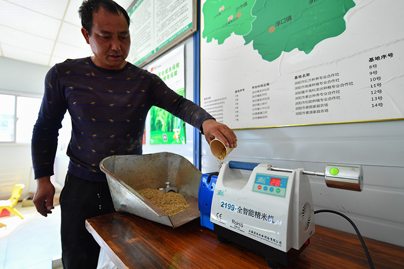 湖南浏阳：科技助力秋粮归仓