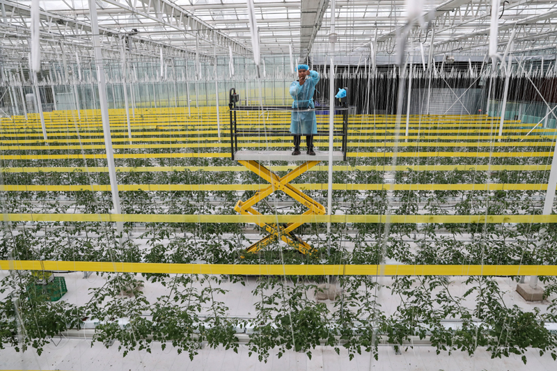 江苏南通：智慧设备助力农业生产