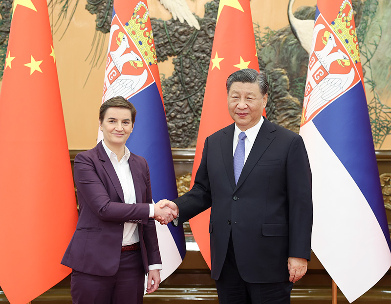 习近平会见塞尔维亚总理布尔纳比奇
