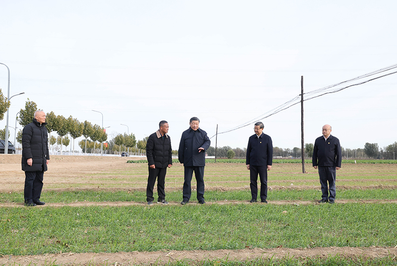 习近平在北京河北考察灾后恢复重建工作