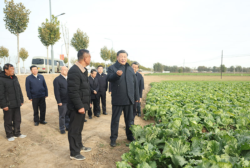习近平在北京河北考察灾后恢复重建工作