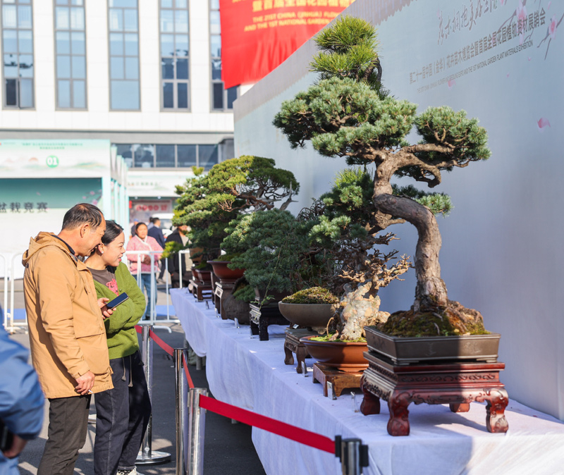 第二十一届中国（金华）花卉苗木博览会开幕
