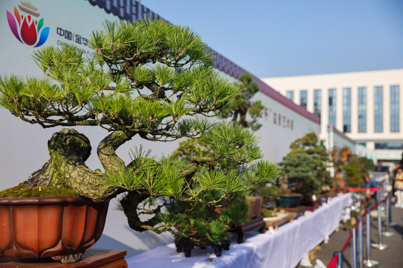第二十一届中国（金华）花卉苗木博览会开幕