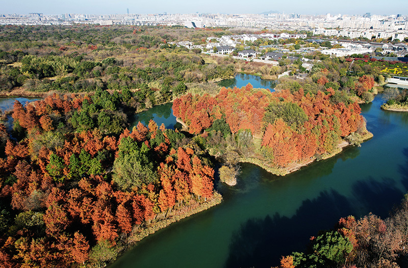 冬日景色美