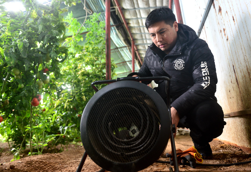 应对寒潮降温 保障果蔬供应