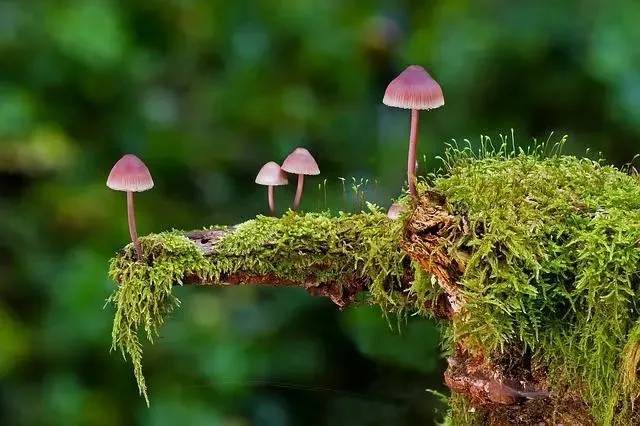 想要做成一件事，什么时候开始都不晚。原地徘徊一千步，抵不上向前迈出第一步；心中想过无数次，不如踏踏实实去做一次。从现在起，带着开拓的勇气和勤勉的精神，去创造属于自己的未来！早安！