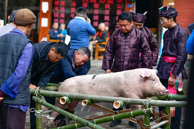 贵州黎平：多彩民俗欢庆侗年