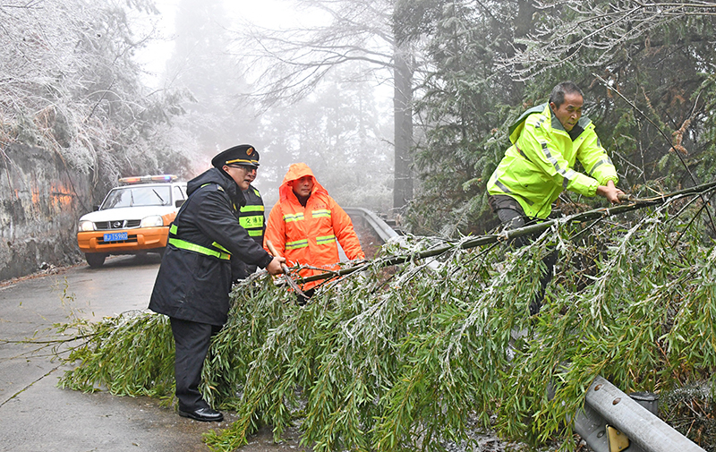 积极应对低温雨雪天气 保民生保安全