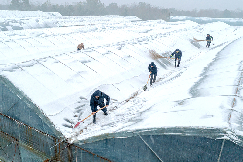 积极应对低温雨雪天气 保民生保安全