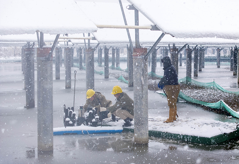 积极应对低温雨雪天气 保民生保安全