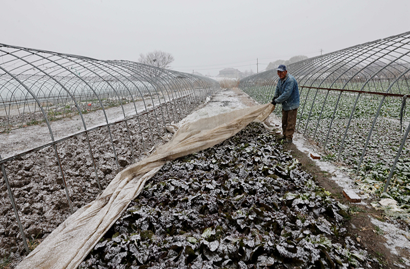 积极应对低温雨雪天气 保民生保安全