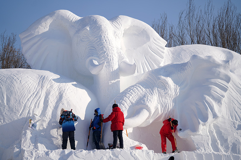 哈尔滨太阳岛雪博会建设忙