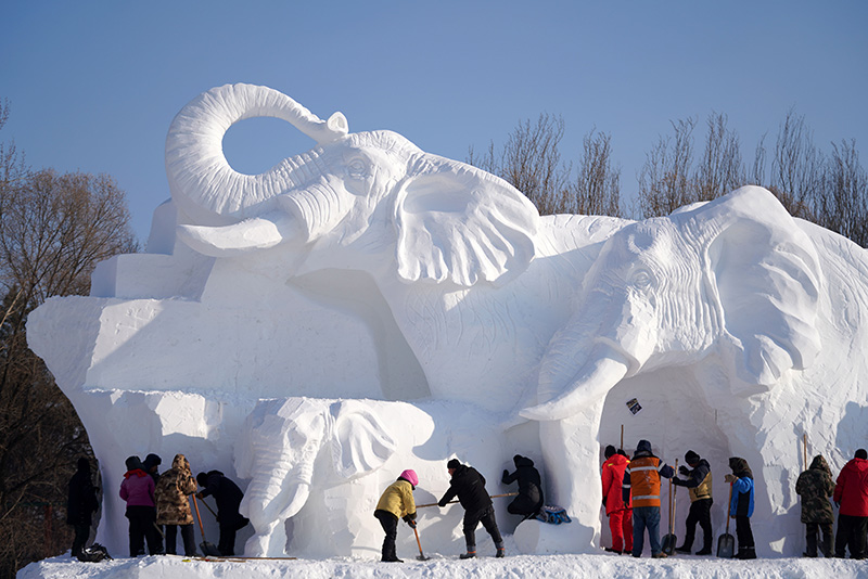哈尔滨太阳岛雪博会建设忙