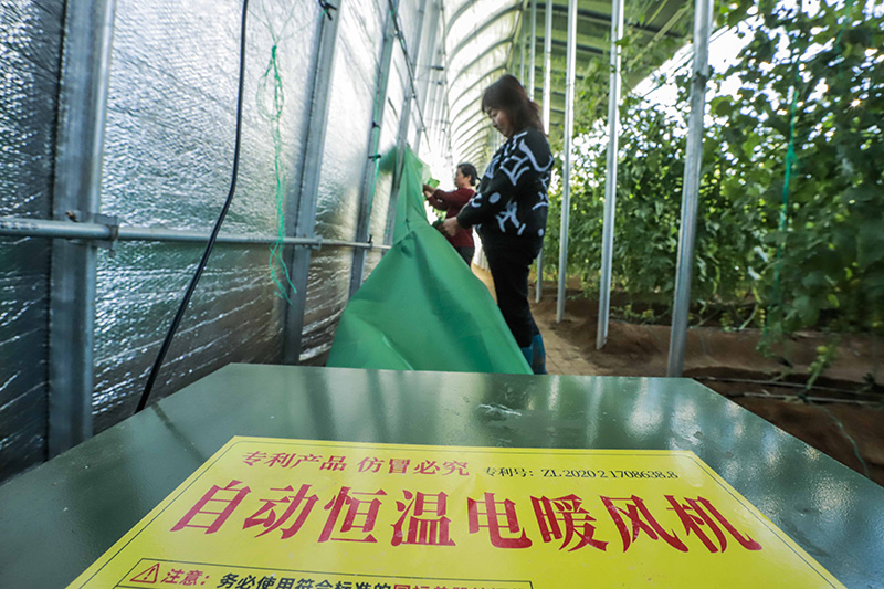 多措并举应对寒潮