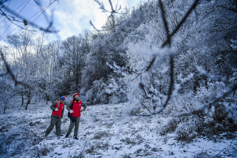 湖北神农架：迎冰雪 保供电