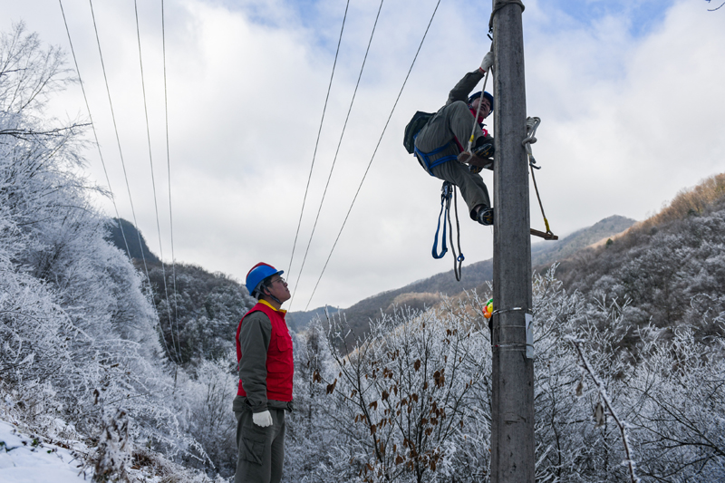 湖北神农架：迎冰雪 保供电