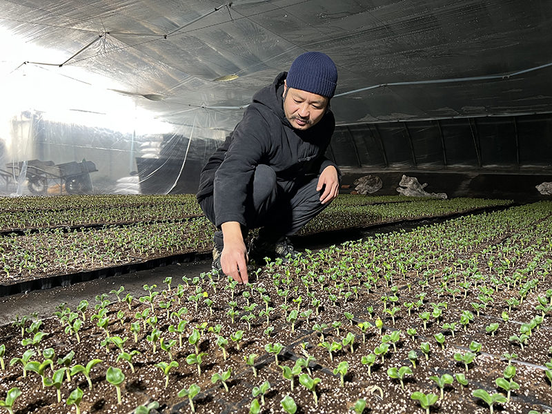 确保人民群众安居乐业、温暖过冬——京津冀和东北等地洪涝灾后重建观察