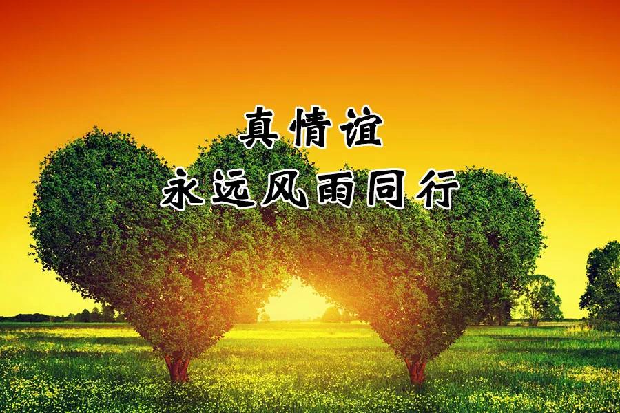 年末了，谢谢我亲爱的朋友