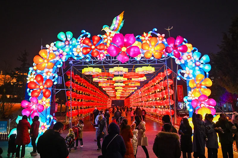 呼和浩特：赏灯迎新年