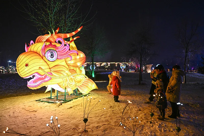 呼和浩特：赏灯迎新年