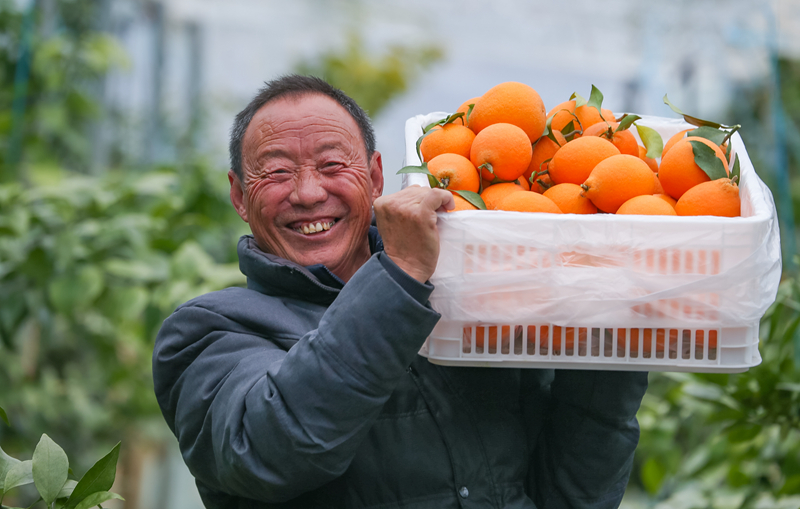 小寒将至农事忙
