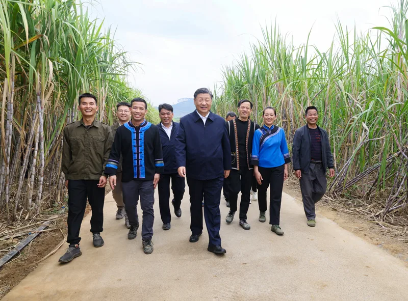 2023年新华社年度照片·领航