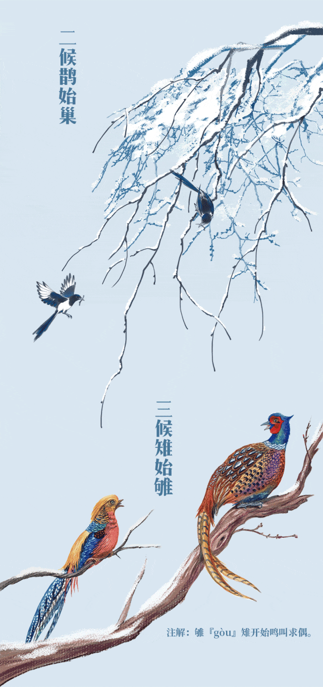 今日小寒