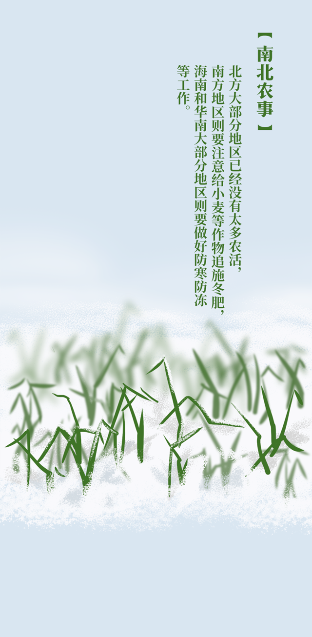 今日小寒