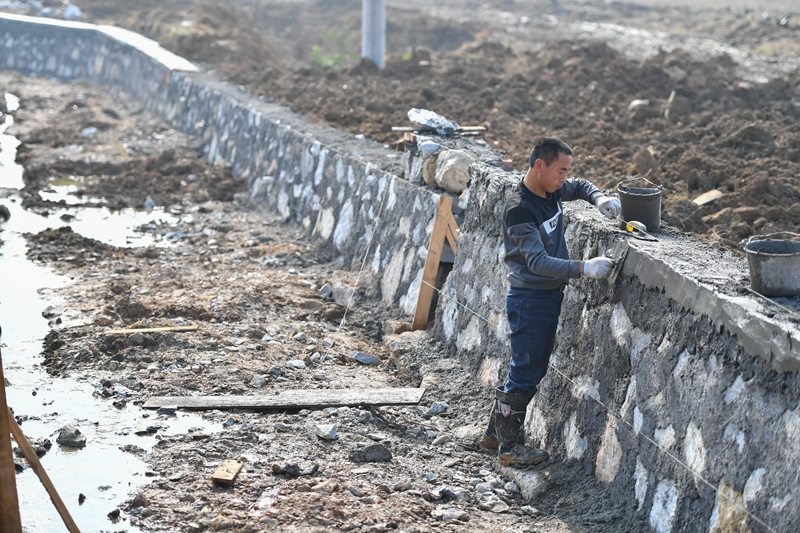湖南湘潭：高标准农田建设夯实粮食稳产增产基础