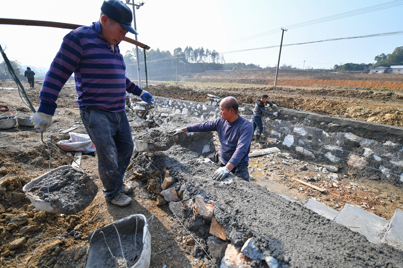 湖南湘潭：高标准农田建设夯实粮食稳产增产基础