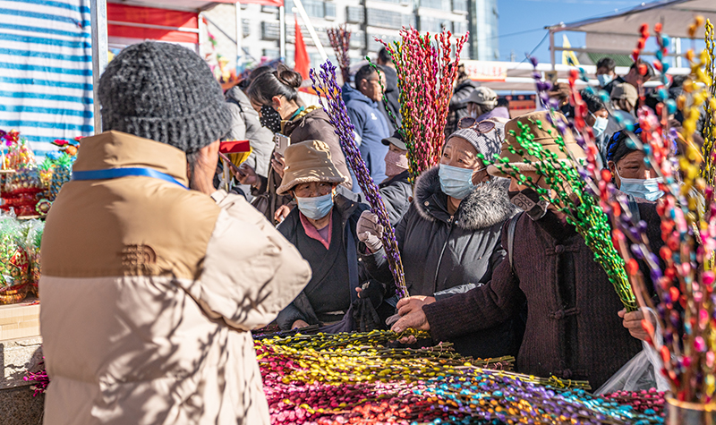 西藏日喀则：年货市场年味浓