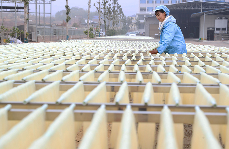湖南衡阳：农产品加工助民增收