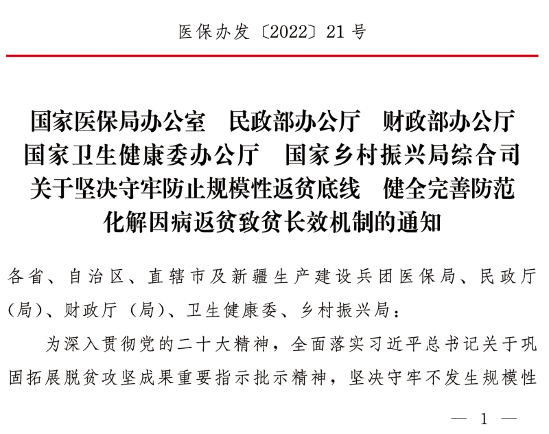 关于坚决守牢防止规模性返贫底线 健全完善防范化解因病返贫致贫长效机制的通知
