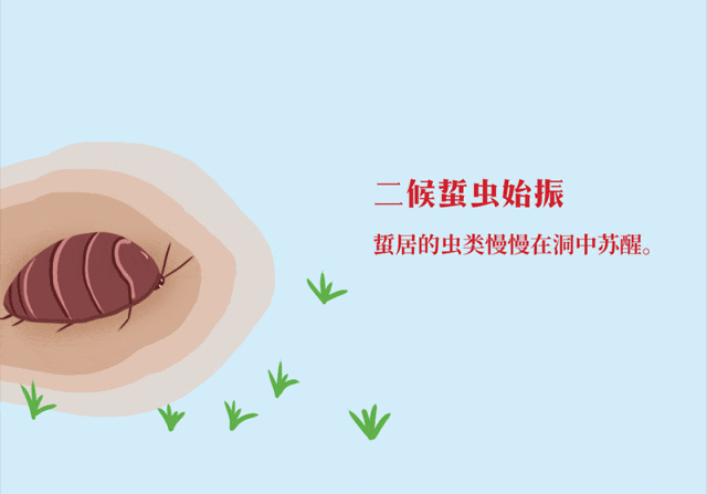 今日立春