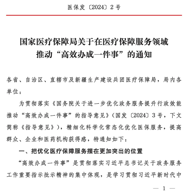 国家医疗保障局关于在医疗保障服务领域推动“高效办成一件事”的通知