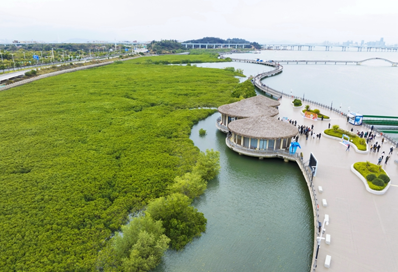 擘画鹭岛新画卷——习近平生态文明思想的"厦门实践"