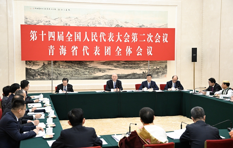 蔡奇在参加青海代表团审议时强调：坚持稳中求进 两个文明一起抓两手都要硬 把中国式现代化宏伟蓝图变成美好现实