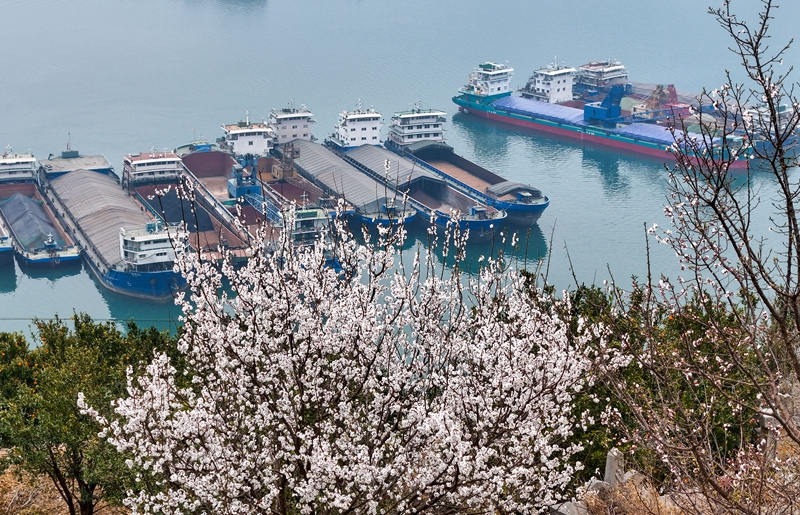 春到三峡