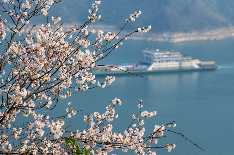 春到三峡