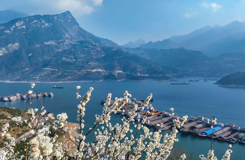 春到三峡
