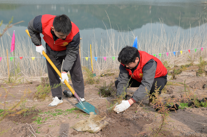 3000株珍稀濒危植物回归三峡库区