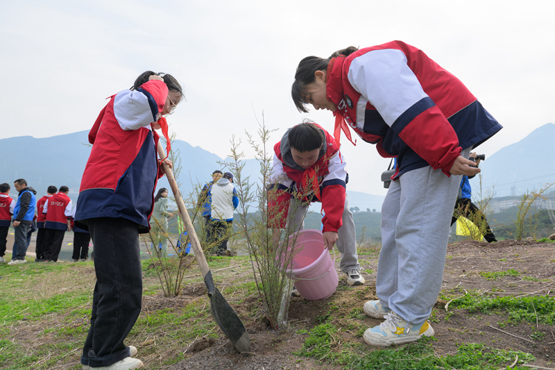 3000株珍稀濒危植物回归三峡库区